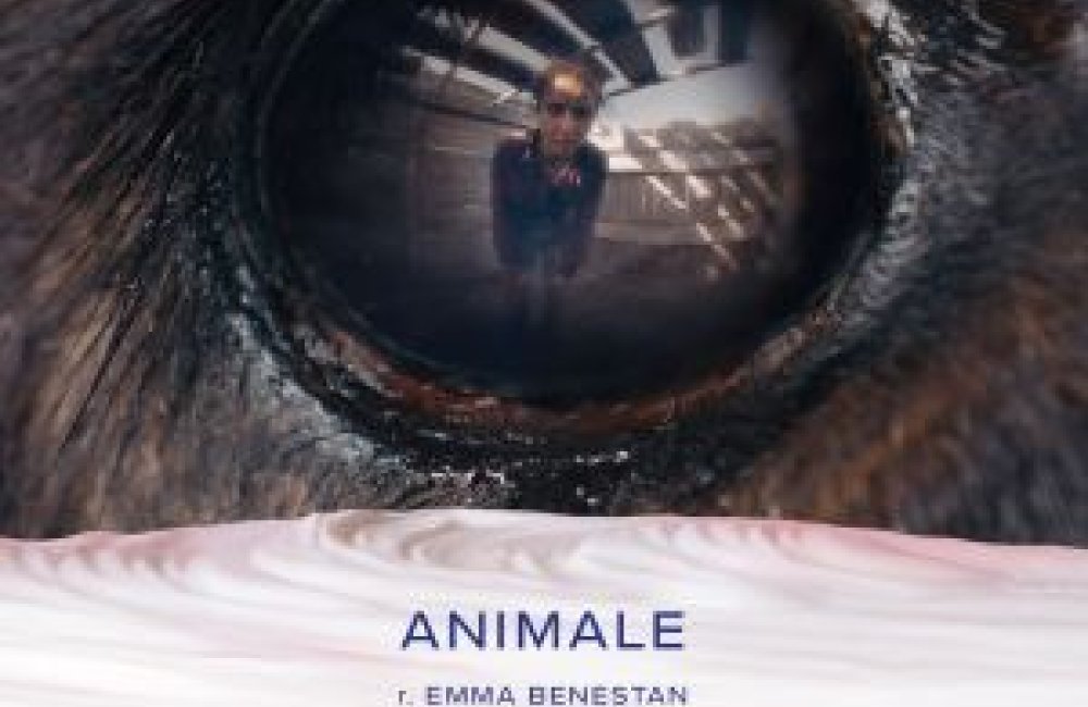 Crѐme de la crѐme 2025: ANIMALE