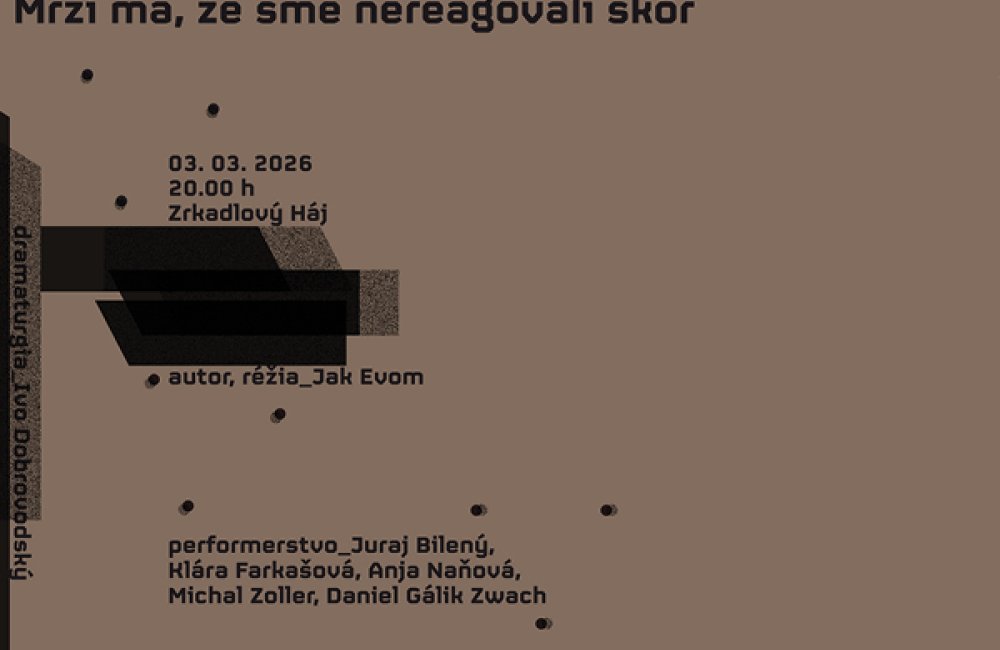 DIVADLO ZA ZRKADLOM: MRZÍ MA, ŽE SME NEREAGOVALI SKÔR - PREMIÉRA - batyskaf