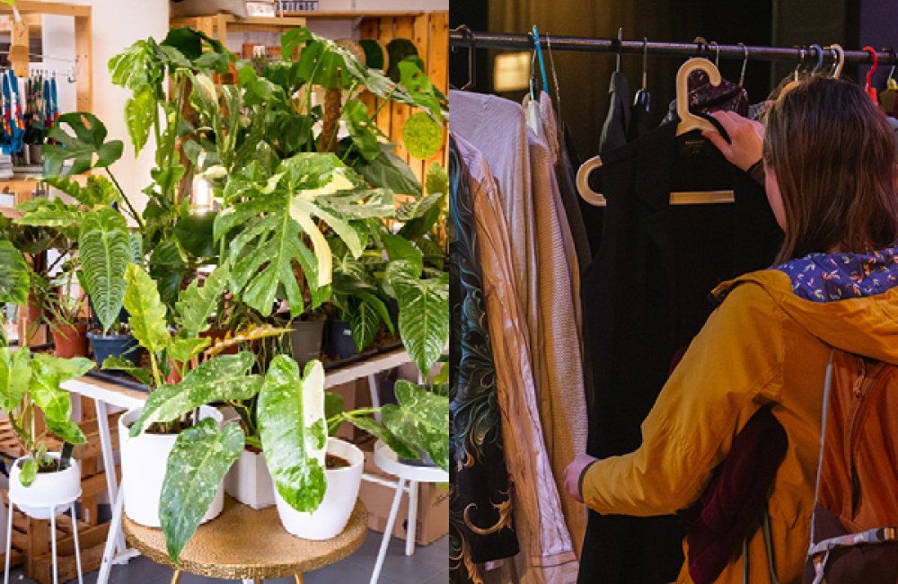 SWAP - oblečenia a rastlín