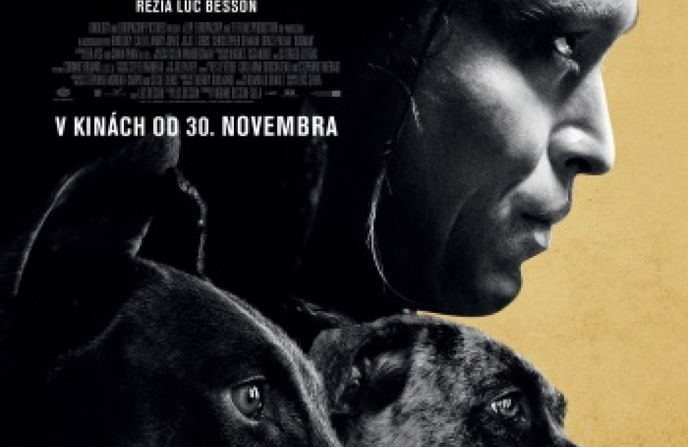 Ozveny svetových festivalov: DOGMAN