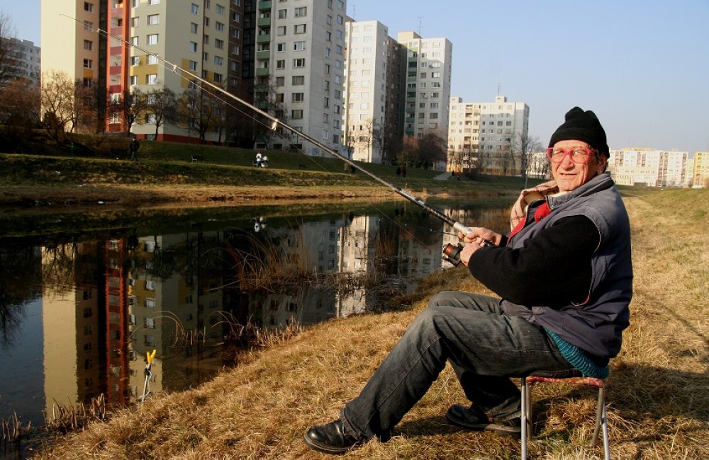 HOMO PANELLUS (ČLOVEK PANELOVÝ)