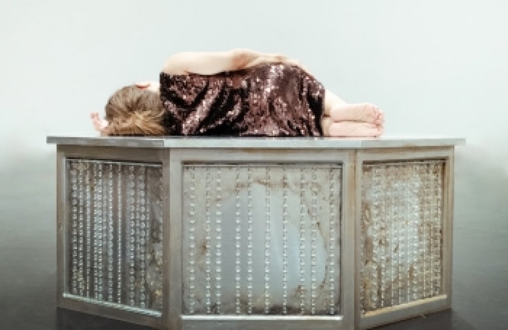 CHIARA BERSANI: L'ANIMALE