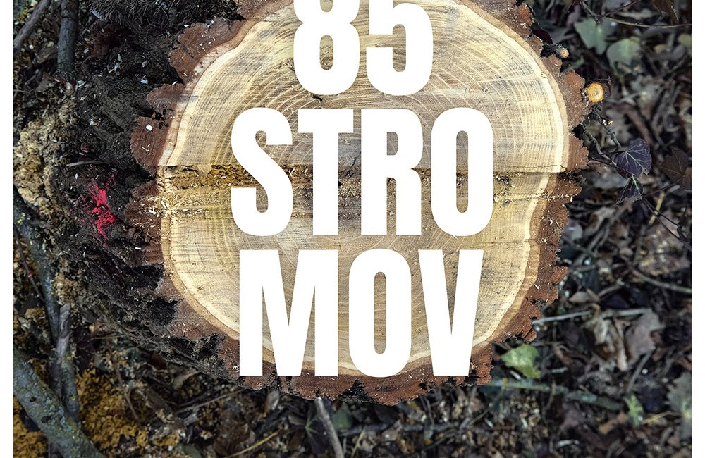 JANA ŠTURDÍKOVÁ: 85 STROMOV